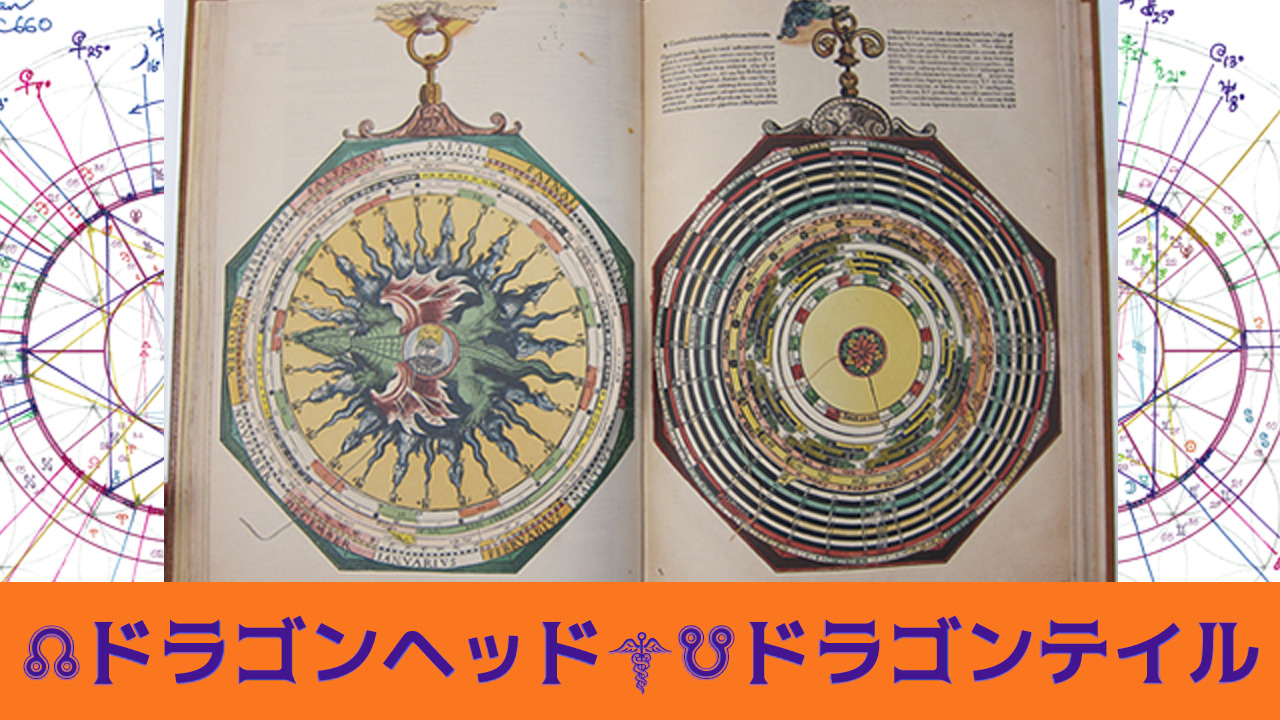 ドラゴンヘッド ノースノード ドラゴンテイル サウスノード の研究を始めてから19年 宙星祝屋 そらほぎや わか 若夏 ホロスコープカウンセラー スピリチュアルメンター アクエリアスの時代を創る星占い 宙星祝屋芝浦canal Studio そらほぎや しばうら